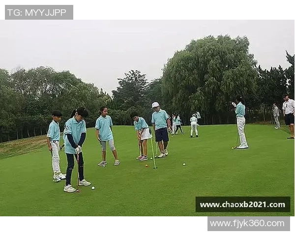 彩神Vll成本优化方案全面解析与实施策略探讨