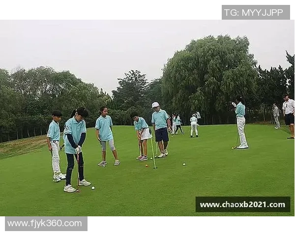 彩神Vll系统故障原因深入剖析与解决方案探讨